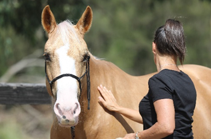 Unbridle the Mind